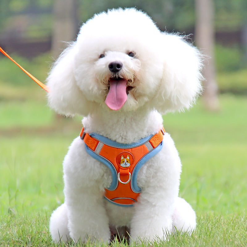 Vall Dog Leash Small Dog Teddy Bibbo Strap Pet Puppy Dog Leash Dog Chain