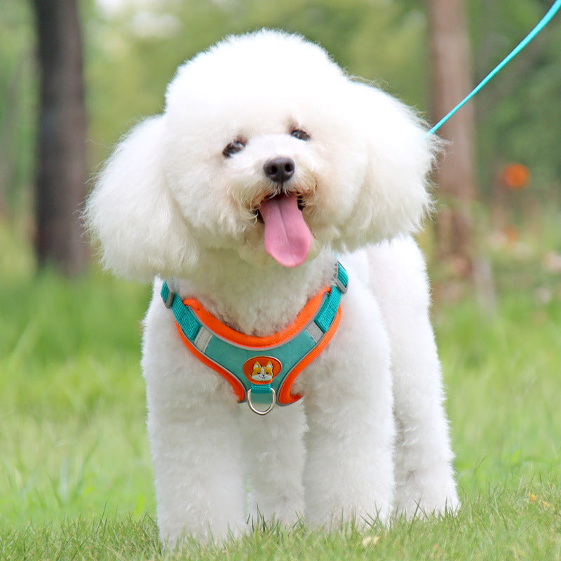 Vall Dog Leash Small Dog Teddy Bibbo Strap Pet Puppy Dog Leash Dog Chain