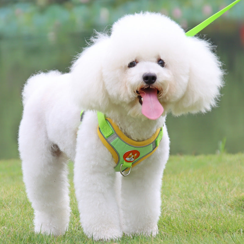 Vall Dog Leash Small Dog Teddy Bibbo Strap Pet Puppy Dog Leash Dog Chain